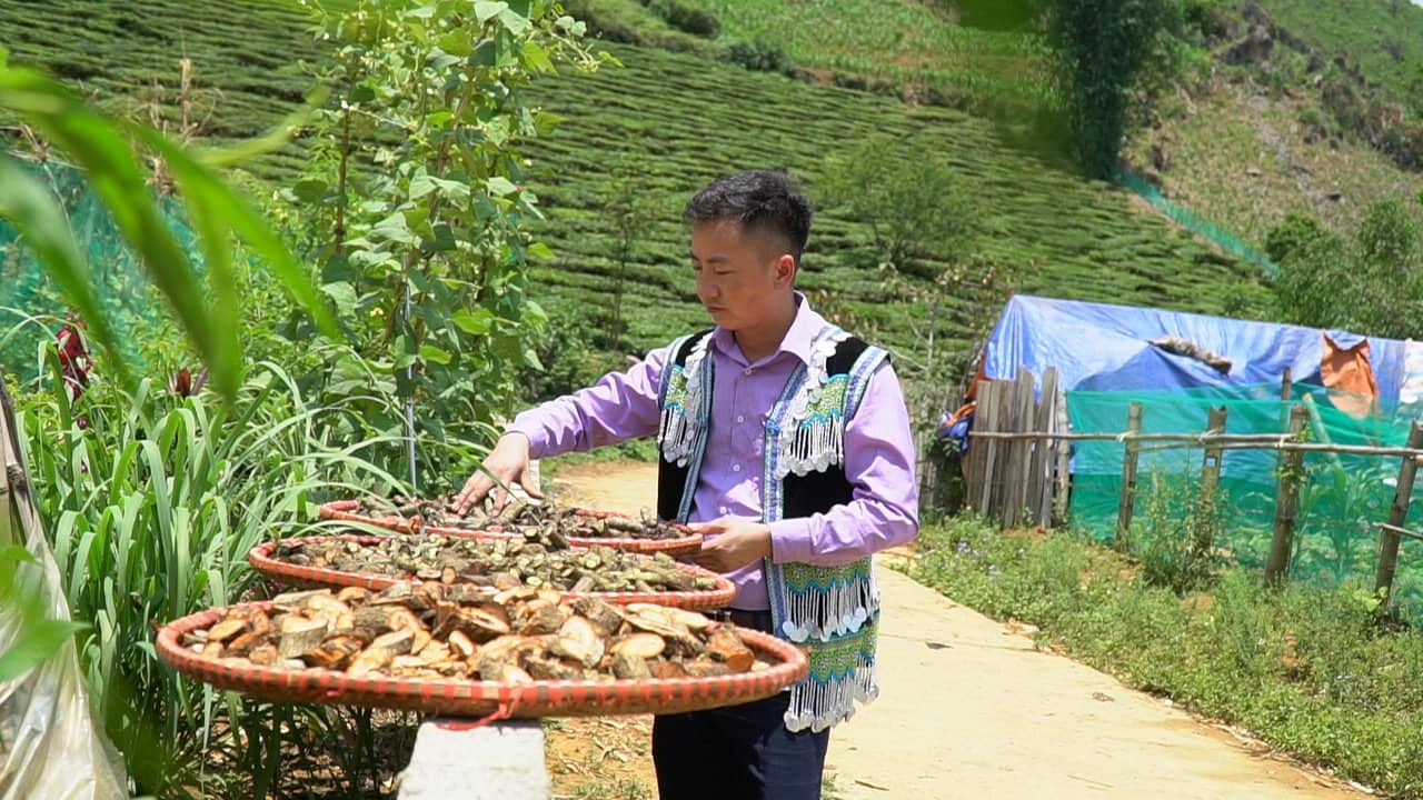 Thầy thuốc Cứ A SÚa